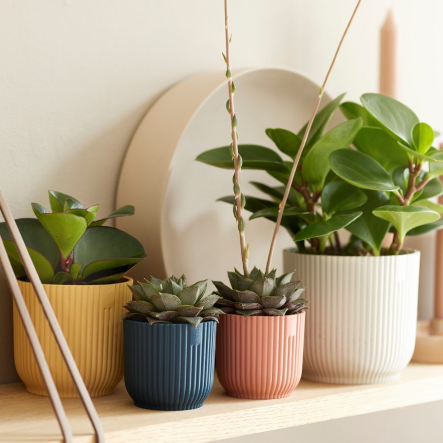 Indoor ceramic pots