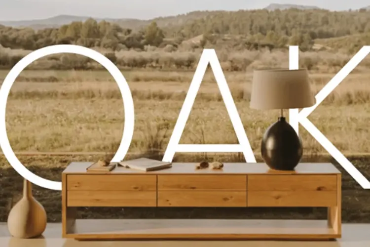 Discover The Timeless Charm of Oak